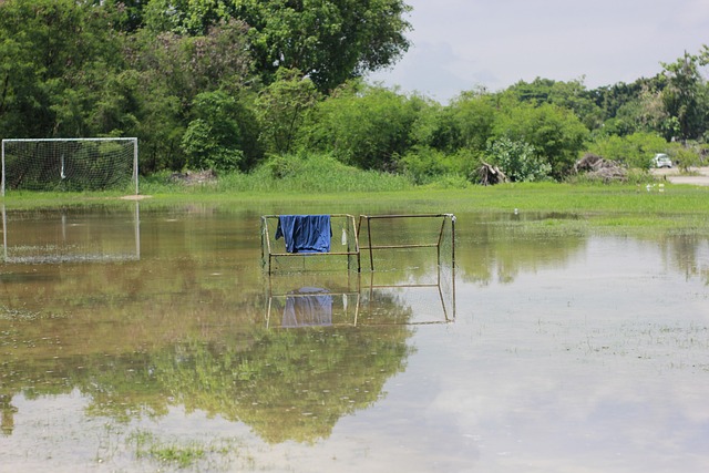 这一现状使 这一现状使