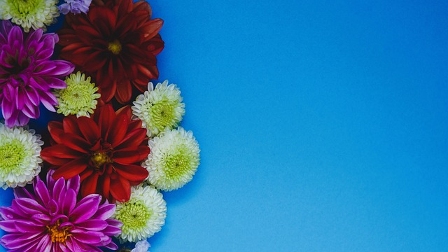 球迷的期待 球迷的期待