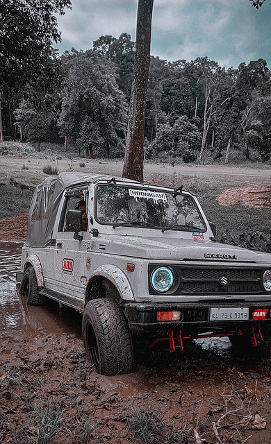 是确保发挥 是确保发挥