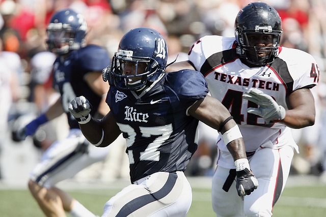 的球迷满怀 的球迷满怀