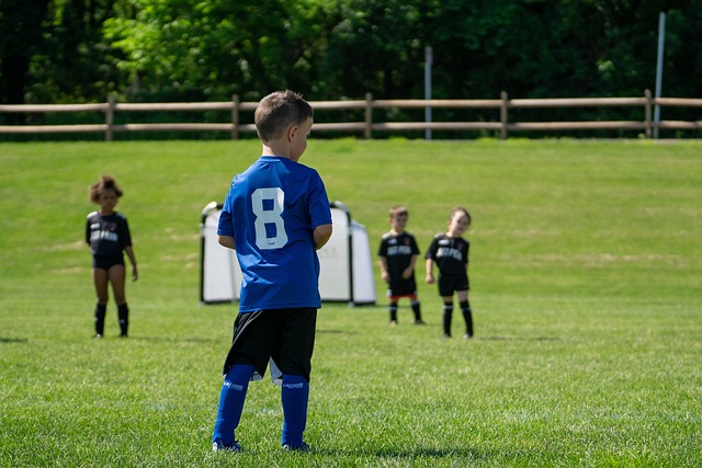 意甲联赛迎 意甲联赛迎