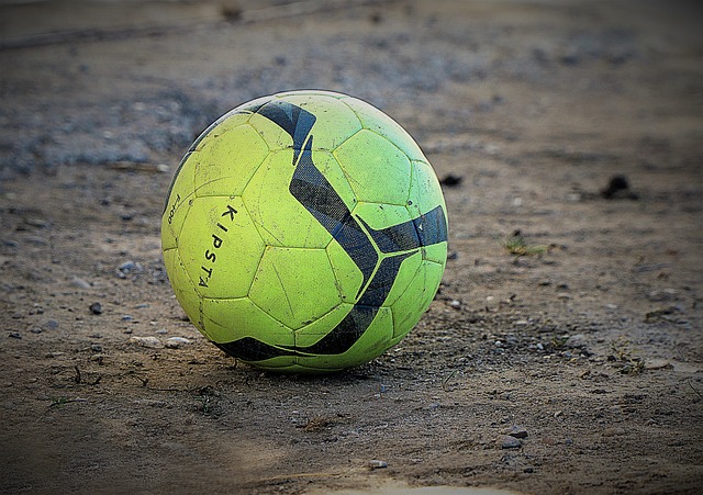 不仅彰显了 不仅彰显了