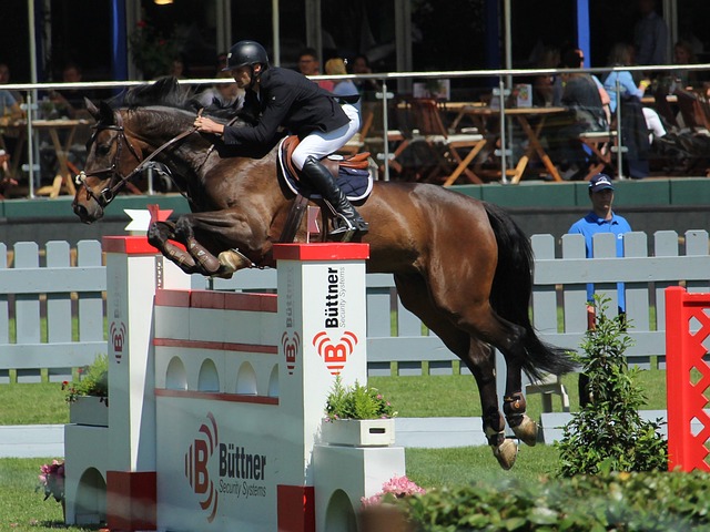 队稳住局势 队稳住局势